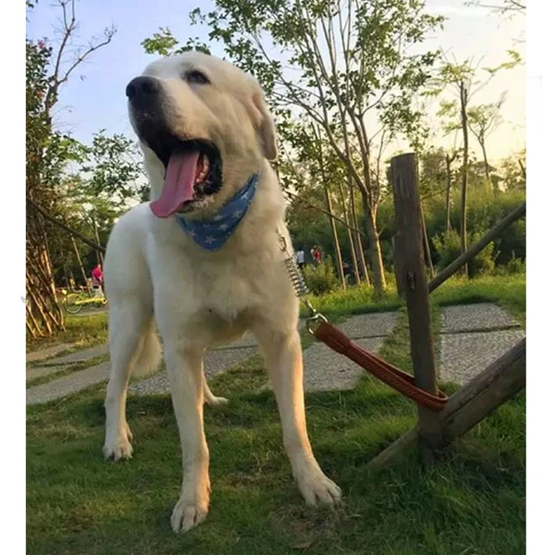 Короткий поводок для собак взрывобезопасный большой Поводок из искусственной