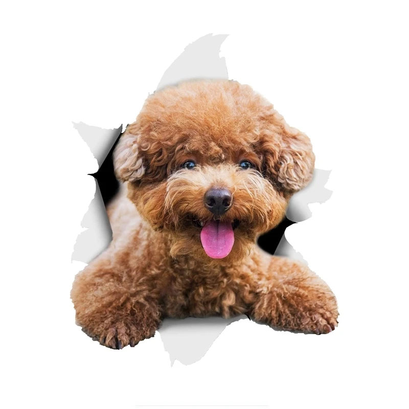 

Dawasaru 3D Smiling Brown Poodle Dog Car Sticker Lovely Decals Laptop Truck Motorcycles Auto Accessories PVC,15cm