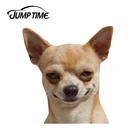 Время скачка 13 см x 12,2 см Чихуахуа Автомобильная наклейка рваная металлическая наклейка на бампер забавная наклейка для автомобиля окно багажник животное 3D Стайлинг автомобиля