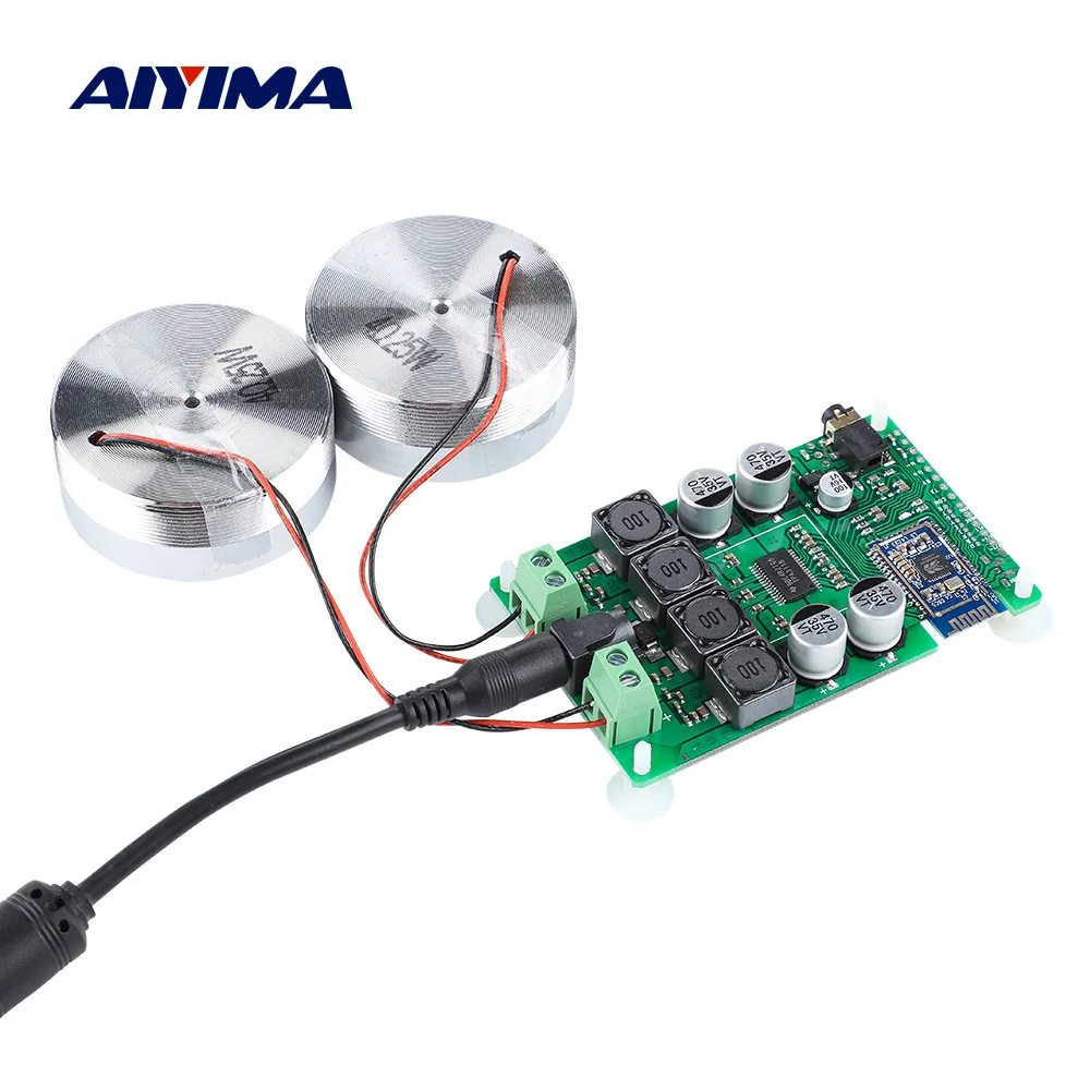 AIYIMA 2 дюймов аудио Портативный 25 Вт резонанс и вибрация Динамик TPA3118 Bluetooth 5 0