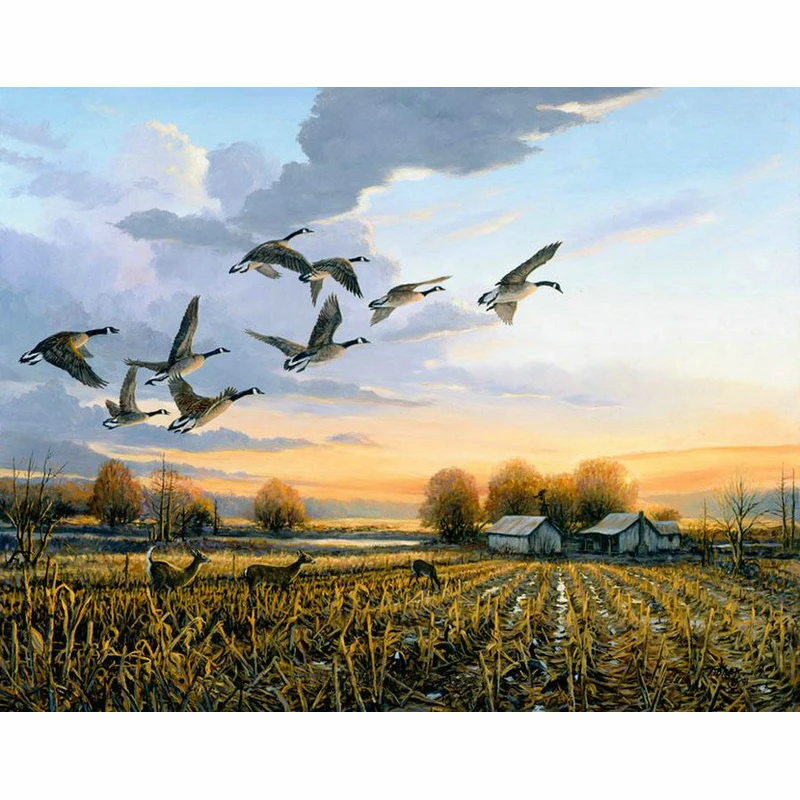 

Diy Diamond Embroidery Mosaic Wild Duck Animal Picture Diamond Painting Cross Stitch Landscape Needlework Living Room Decor