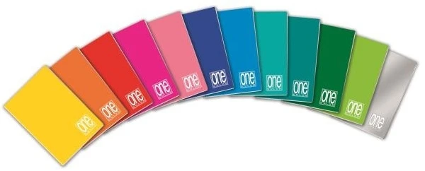 Blasetti One Color notebook to write multicolour A5 210 sheets |