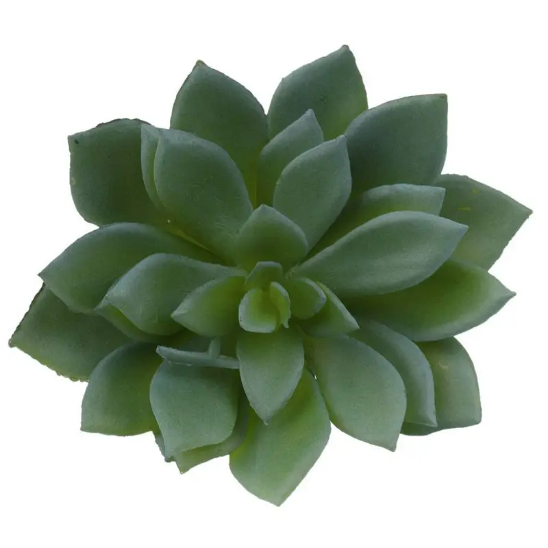 Echeveria Лотос искусственные растения суккуленты дом/офис/сад Decoratio|Искусственные и