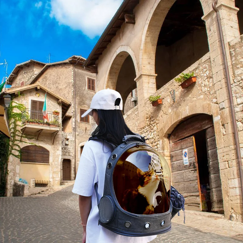 

Summer Sun-proof and Breathable Brown High View Transparent Cover Space Capsule Cat Small Dog Portable With Cat Bag Backpack