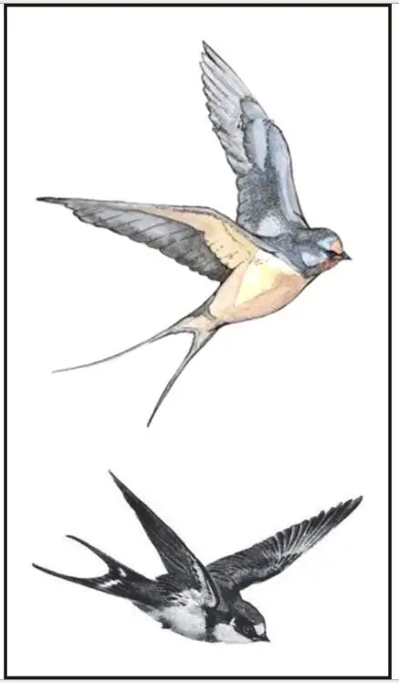 Водостойкая Временная тату наклейка ласточка муха птица флэш искусственные