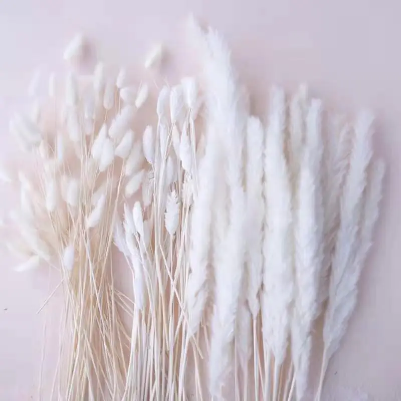 Сушеные цветы белая пампасная трава черный хвост кролика искусственный