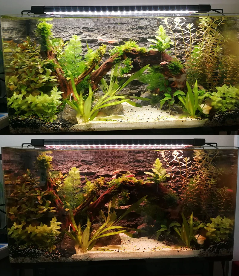 

Full Spectrum Lamp For Aquarium Fishing LED Lighting 24/7 Hour Automated with Controller RGB Fish Tank Light 110V-220V 80-150cm