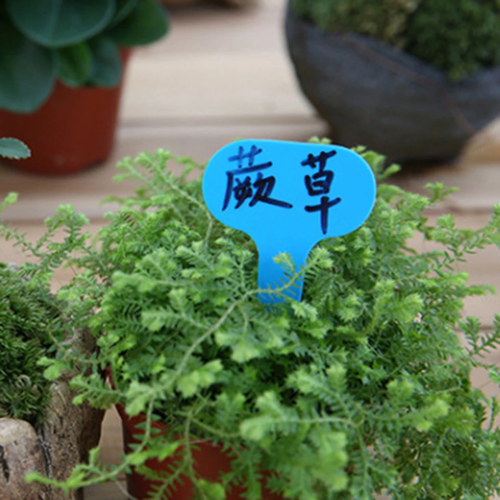 100 шт. Т образные пластиковые маркеры для сада рассады|Маркеры растений| |