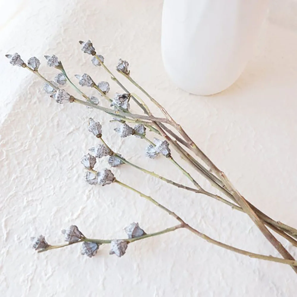 

Handmade Eucalyptus Fruit Home Decoration Dried Flowers Living Room Decoration Flower Arrangement Crafts Photography Party