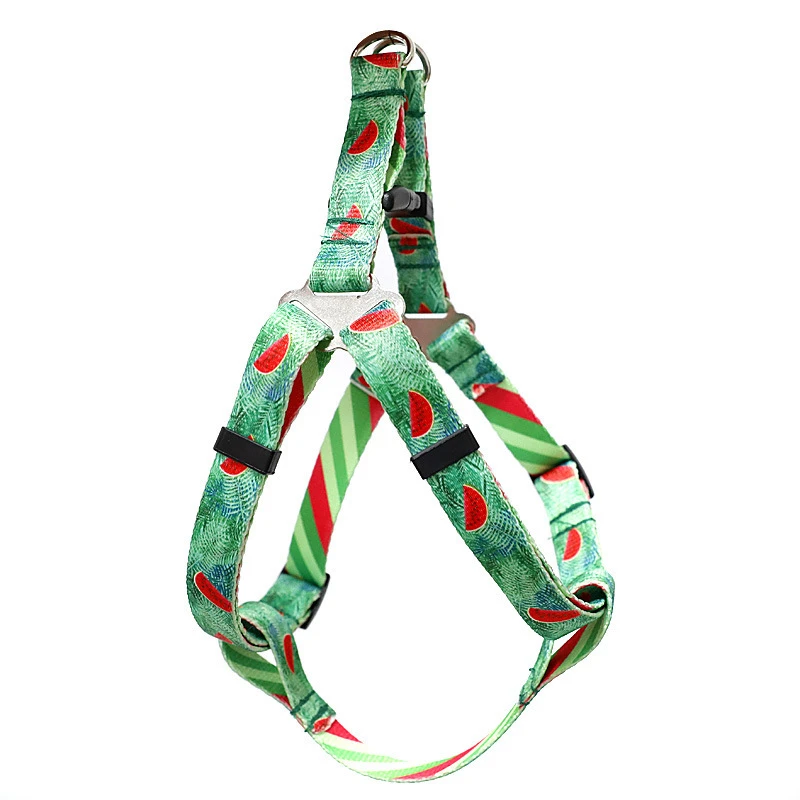 Модный напечатанный жгут для собак персонализированный нейлоновый регулируемый