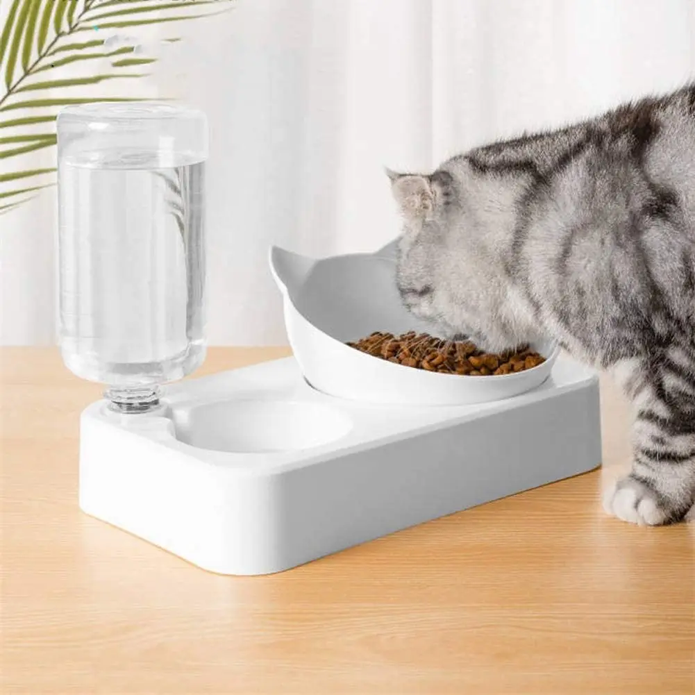 

Raised Cat Bowls for Food and Water Elevated Pet Dog Bowl for Cats and Small Dogs Stress Free Healthy & Hygienic Bowls Bowl