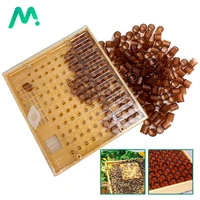 1set queen bee rearing cupkit box queen rearing system and 120 sets plastic bee protective bee cell brown cells beekeeper tools