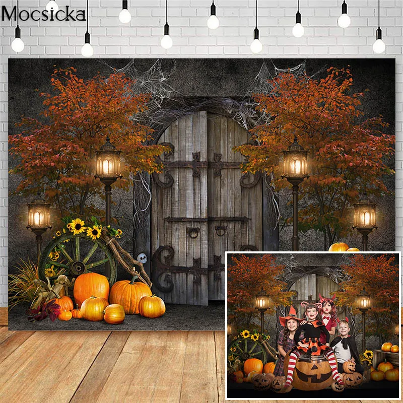 

Vintage Wooden Door Halloween Photoshoot Backdrop Child Adult Birthday Art Professional Photography Backgrounds Photo Studio