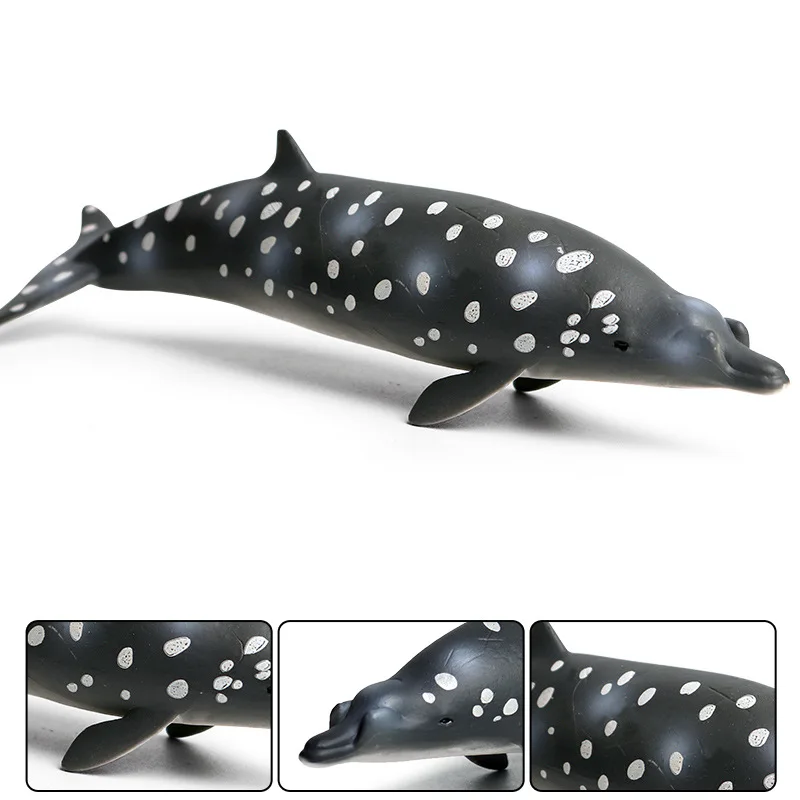 

17*5*4.5cm Children Cognitive Solid Simulation Marine Animal Model Toy Whale Shark Brinell Mid-beaked Whale Underwater Creature
