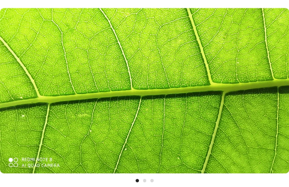Redmi Note 8 Xiaomi глобальная версия 4 Гб 64 Гб Смартфон 48MP камеры Snapdragon 665 6,3 FHD 4000 мАч 4K видео глаз экран