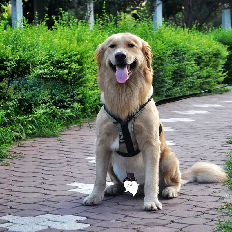 Регулируемый ошейник для собак K9 профессиональный кошек и нагрудный жилет Pitbull