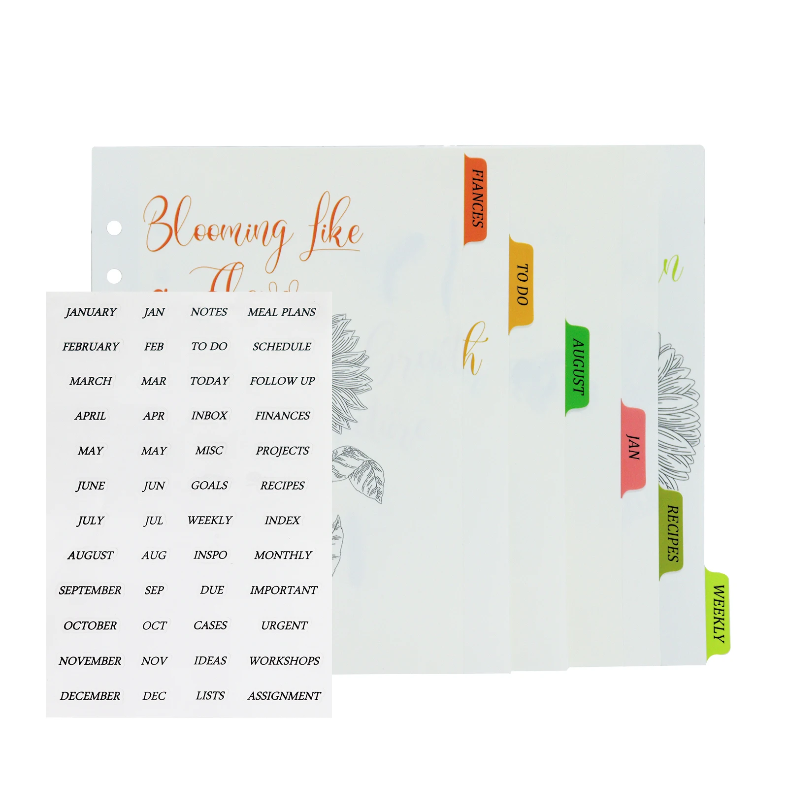 

6 Holes A5 Dividers Plastic With Tabs PP A5 Index Dividers for Notebook Journal Planner Spiral Binder Index Separator Page