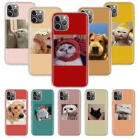 super cute cats dogs animal soft phone case for iphone 11 12 13 pro max xr x xs mini apple 8 7 plus 6 6s se 5s fundas coque capa
