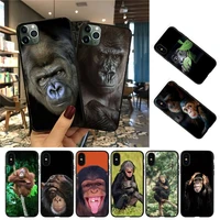 yndfcnb monkey gorilla ape baby phone case for iphone 13 8 7 6 6s plus 5 5s se 2020 12pro max xr x xs max 11 case
