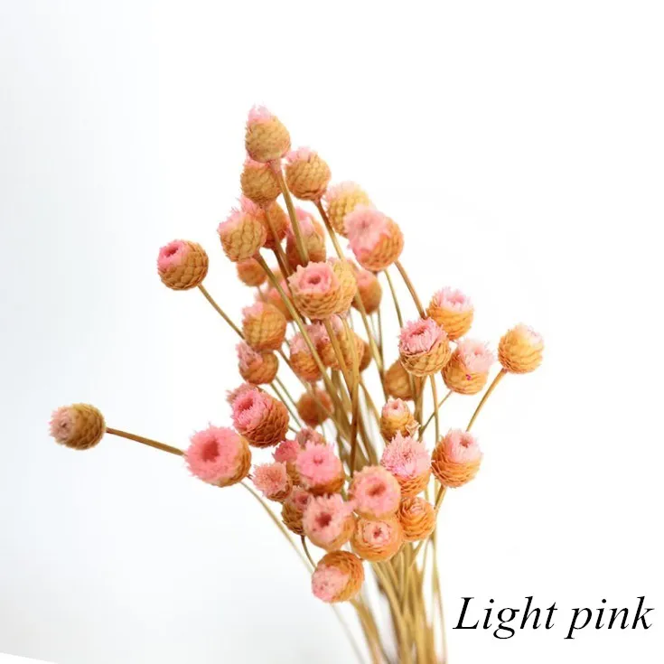 

50pcs / lot Happy Flower Natural Dried Flower Bouquet Home Decoration Real Flower Diy Flower Arrangement Flower Shooting Props