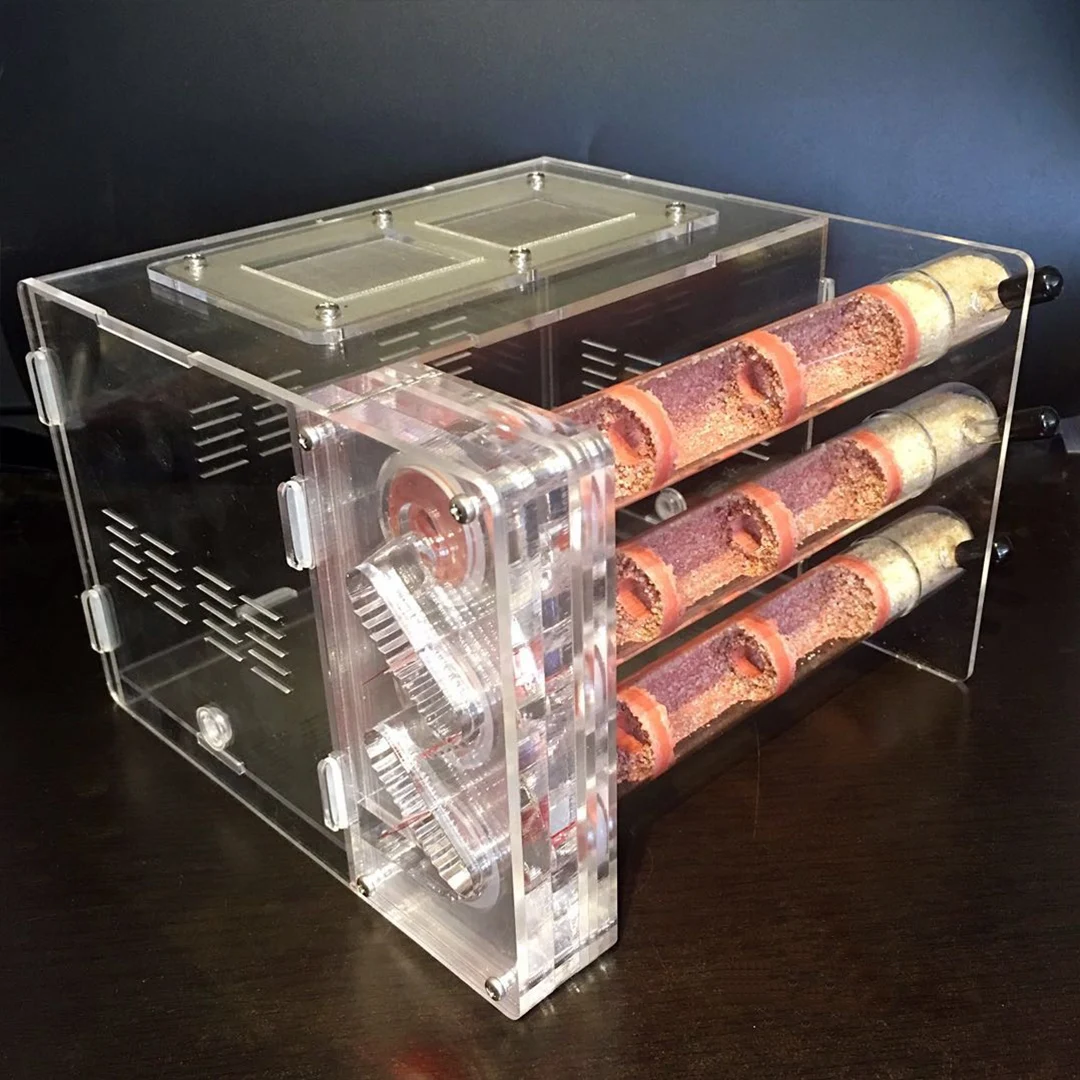 DIY акриловая бамбуковая туба Муравьиное ферма Экологичное гнездо 3 трубки