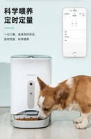 smart automatic pet dog and cat food feeder container dog treat dispenser bebedouro para cachorro pet accessories bd50df