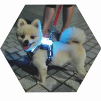 cc simon led dog harness usb rechargeable multicolor large dog