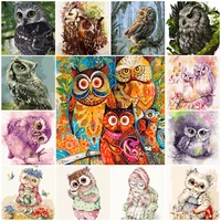 paintings by numbers owl va 0174 set no frame painting with numbers 4050cm 24 colors gift level3 stars