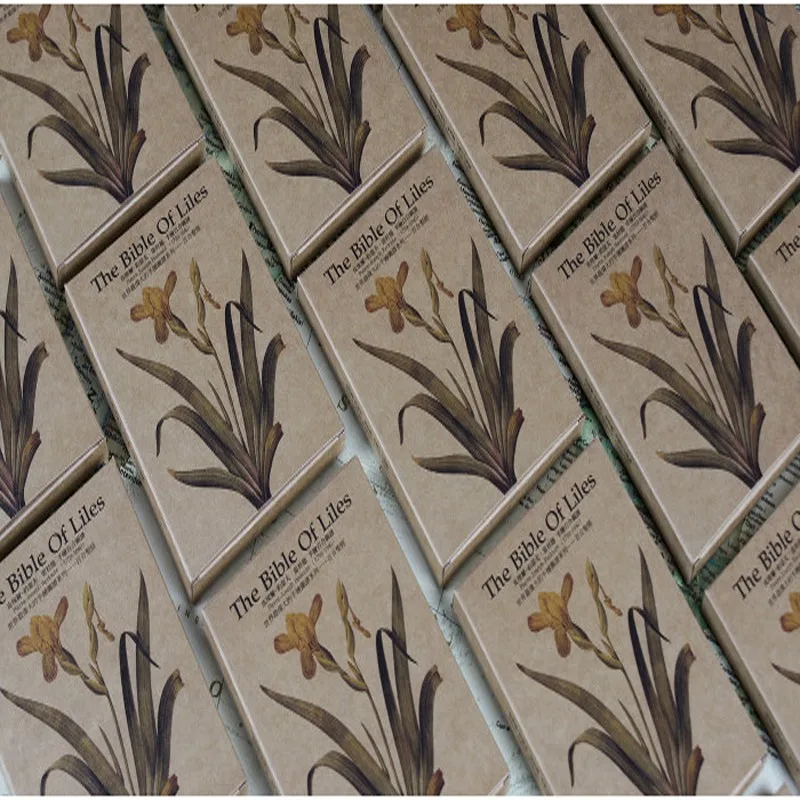 

4packs vintage Exquisite Plant Series Invitation cards Kraft Writable Paper Card Diary Decorative materials