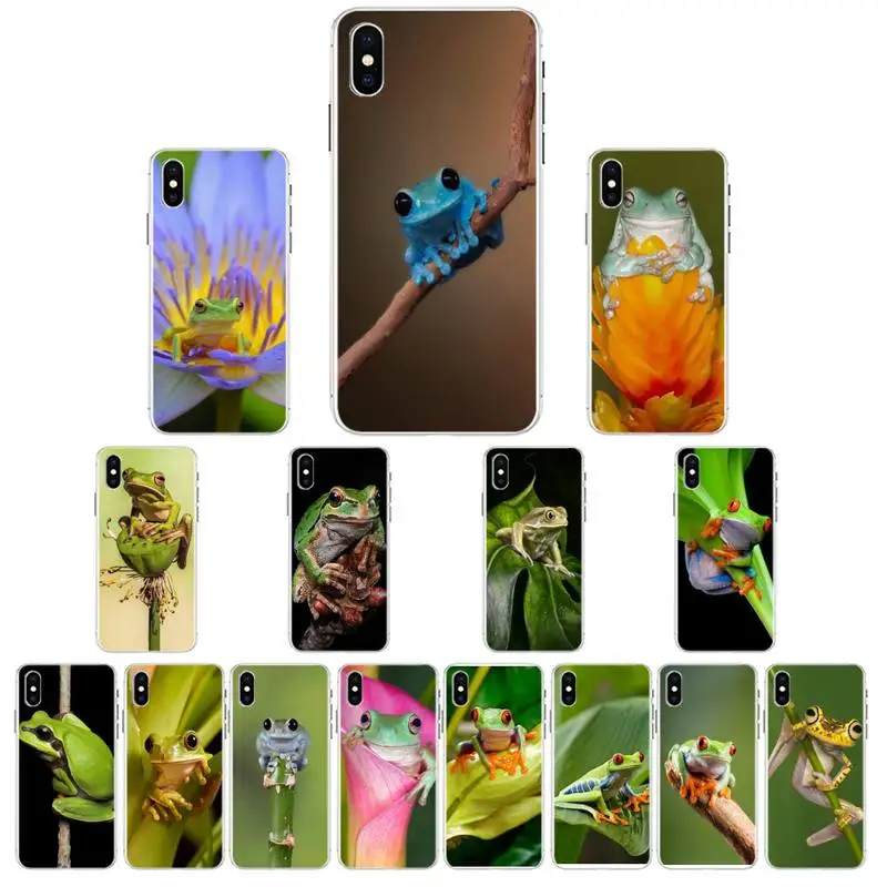 

YNDFCNB frog Animals Phone Case For iphone 13 X XS MAX 6 6s 7 7plus 8 8Plus 5 5S se 2020 XR 12 11 pro max case