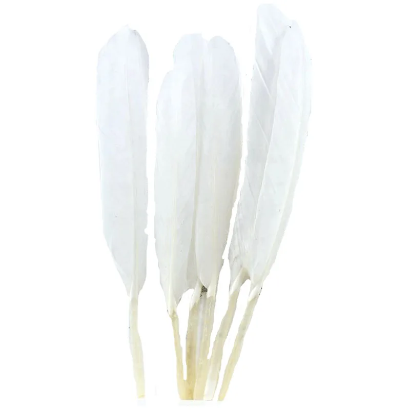 100 шт. цветные перья рукоделие Изготовление ювелирных изделий Сделай Сам