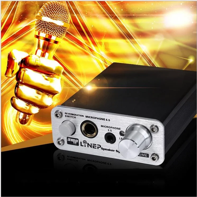 Lynepauaio Moving Coil микрофон Предварительный усилитель двухсторонний реверберация