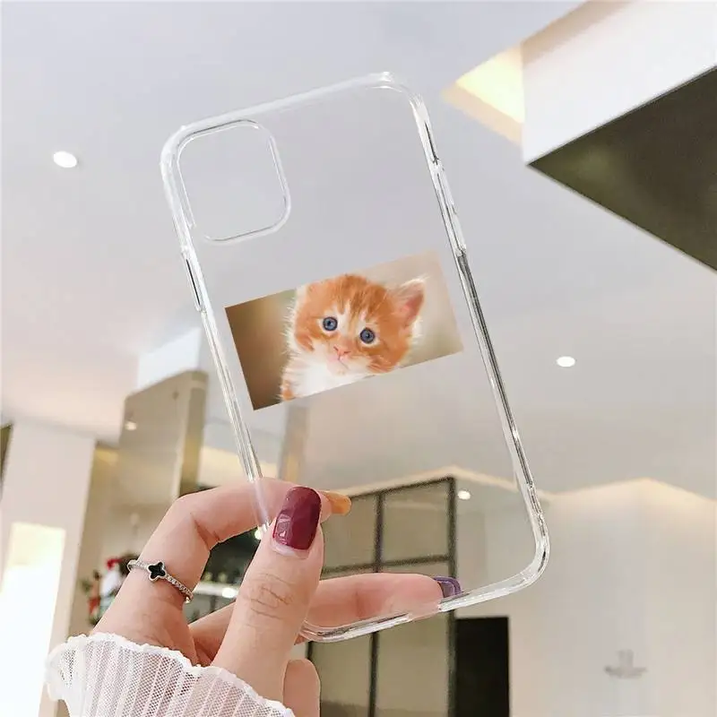 

Cute Cat Phone Case Clear Transparent for iPhone 11 12 mini pro XS MAX 8 7 6 6S Plus X 5S SE XR 2020