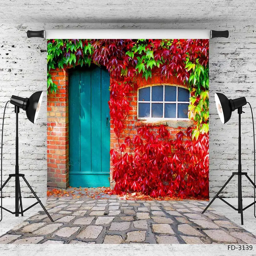 Фон для фотосъемки новорожденных с изображением красных листьев беседки дверью
