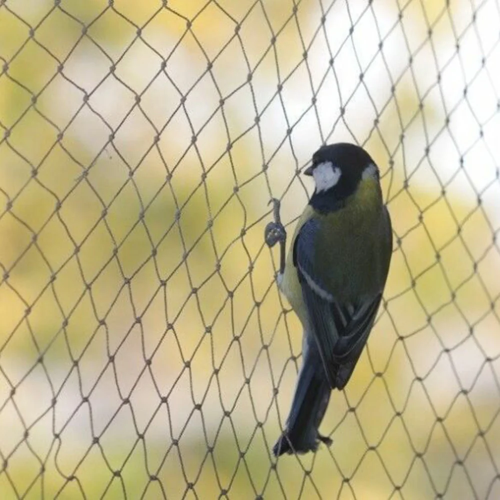 

Protection Anti Bird Net Veg Cage Tree Crop Plant Accessory Outdoor 10x6m