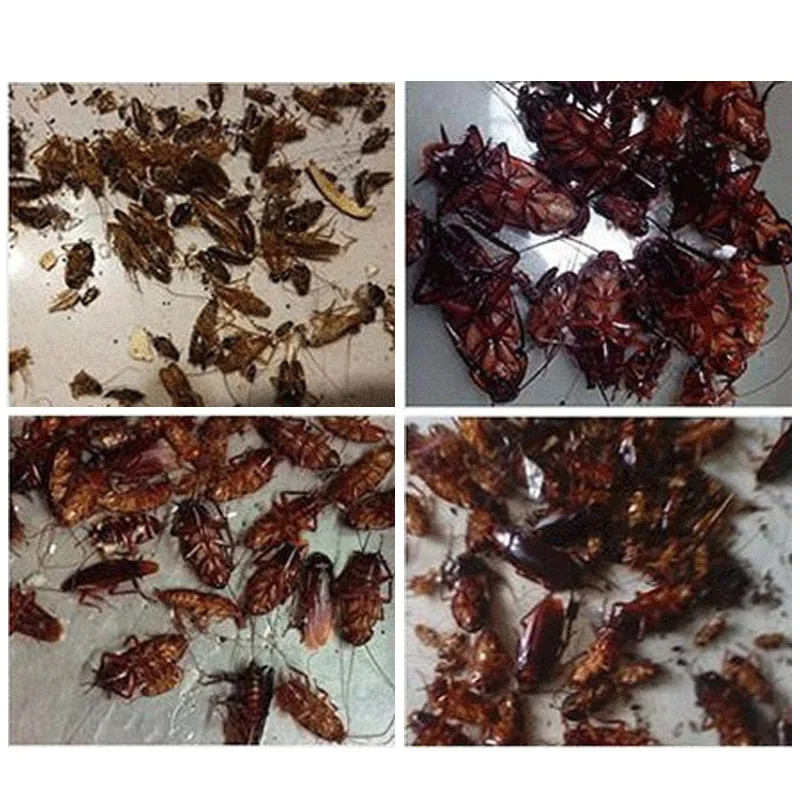 6pcs Cockroach Smoke Insecticides Poison Bomb Magical Smog For Mosquito Flies Medicine Bug Flea Ant Killer Insect Pest Control | Дом и сад