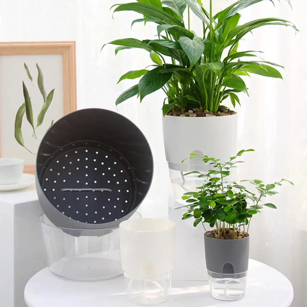 Прозрачный автоматический поглощающий воду самополивающийся гидропонный