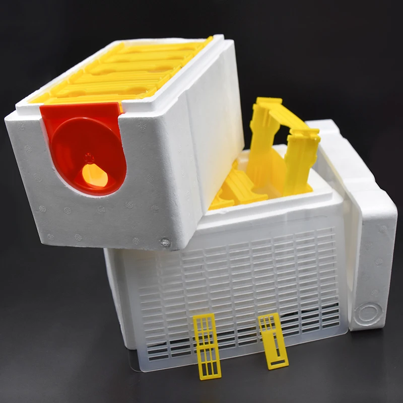 В виде пчелиных сот с Hive сопротивлением контейнер под элемент питания 2 слоя