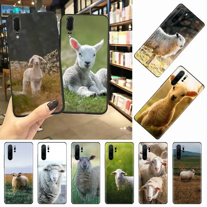 

Cute sheep animal Phone Case For Huawei honor Mate P 10 20 30 40 i 9 8 pro x Lite smart 2019 nova 5t