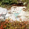 Изображение товара 1