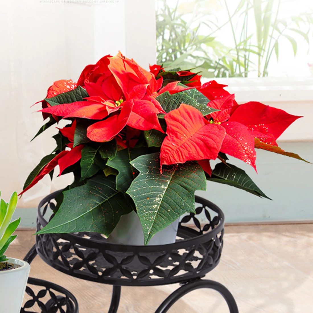 

Iron Flower Stand High And Low Level Pot Rack Plant Storage Rack Living Room Balcony Floor Plant Stand - White Black