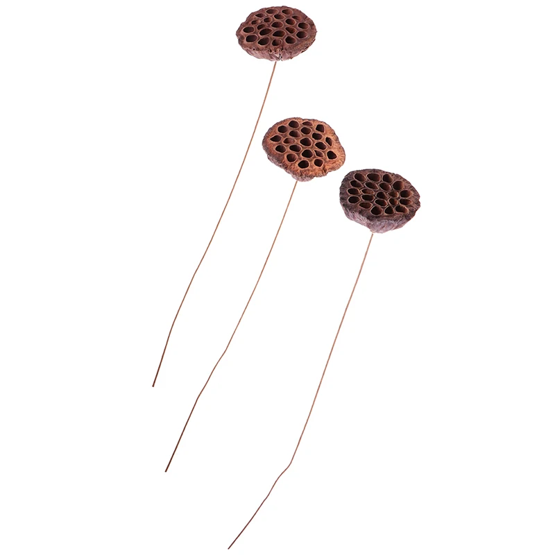 1 шт лотоса Натуральные сушеные цветы фермерский дом букет растения ветка