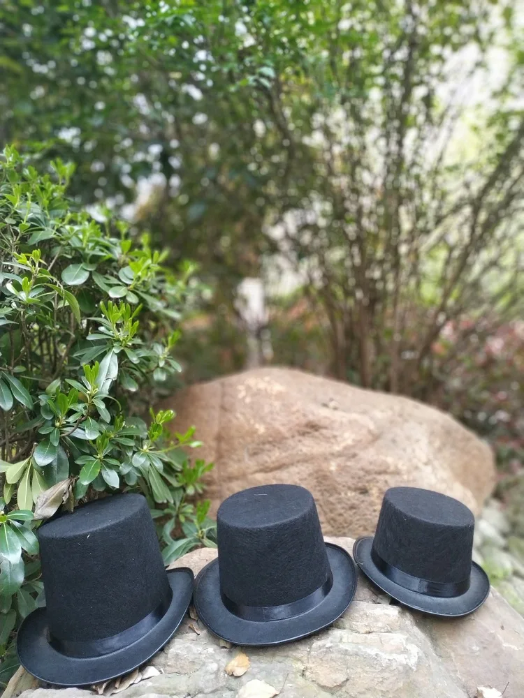 Шляпа Федора для представлений мужчин и женщин Черная |