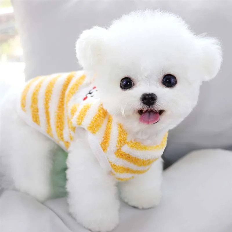 Bichon Тедди Померанский Шнауцер маленькие щенки VIP Осень Одежда для собак и кошек
