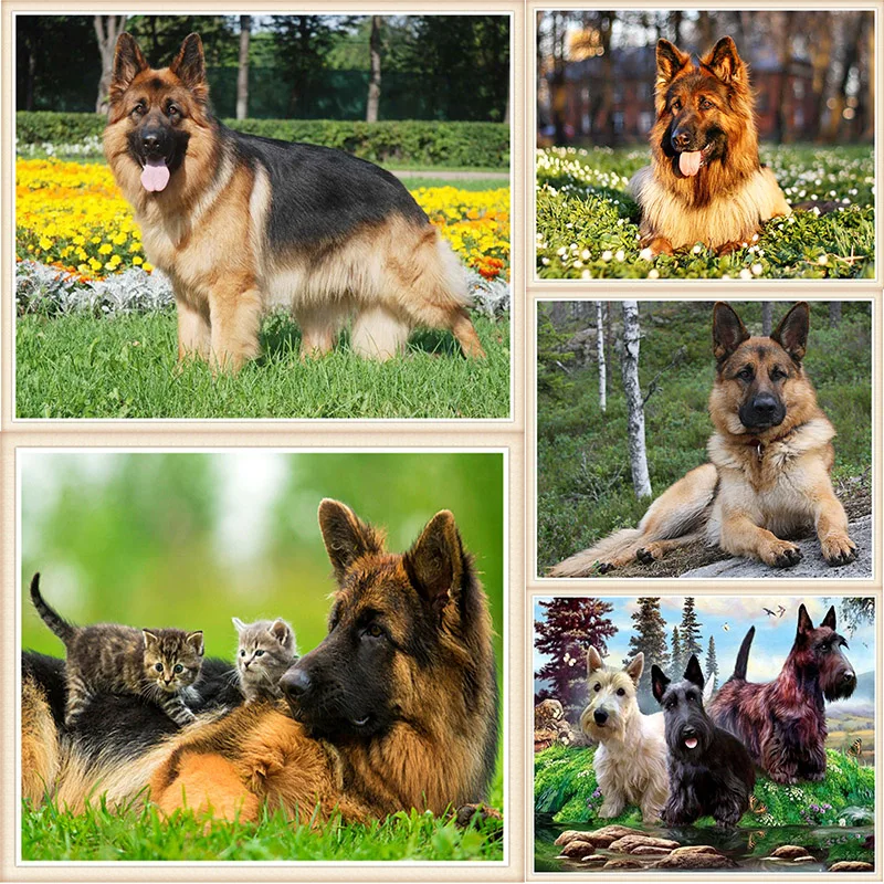 Немецкая овчарская Алмазная роспись полный квадратный Животное Искусство