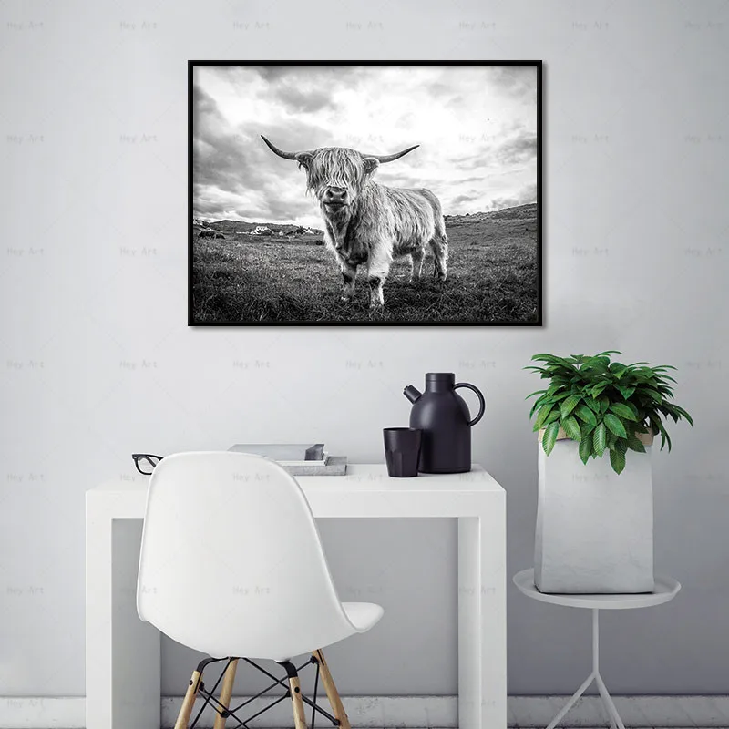 Картина на холсте современная картина искусство стену Highland Cow черный белый