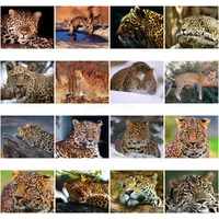 animals scenery diy diamond painting leopard mosaic embroidery cross stitch wall art pictures for living room home decoration