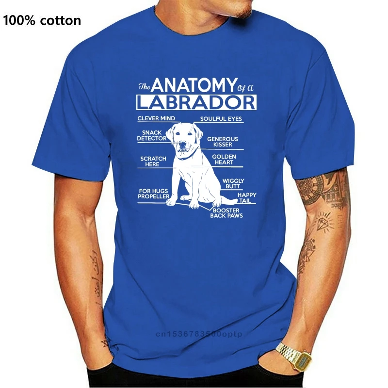 

Новинка 2021, Повседневная футболка с коротким рукавом с принтом анатомии Лабрадора, летняя повседневная мужская футболка хорошего качества