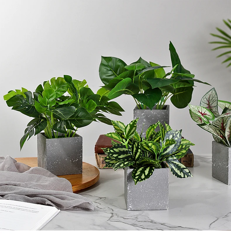 Ins Скандинавская креативная в виде черепахи лист зеленый укроп растение