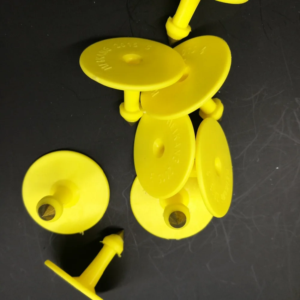 Простые признаки свиных ушных бирок ушей чистых карточек (100) | Дом и сад